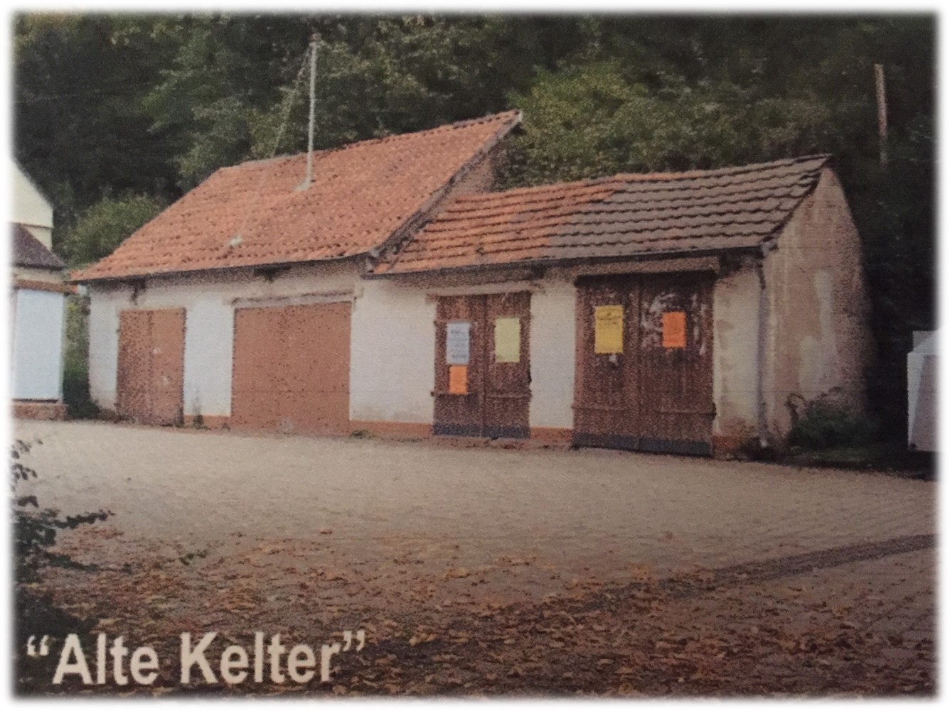 MGH-zur-Alten-Kelter (3)